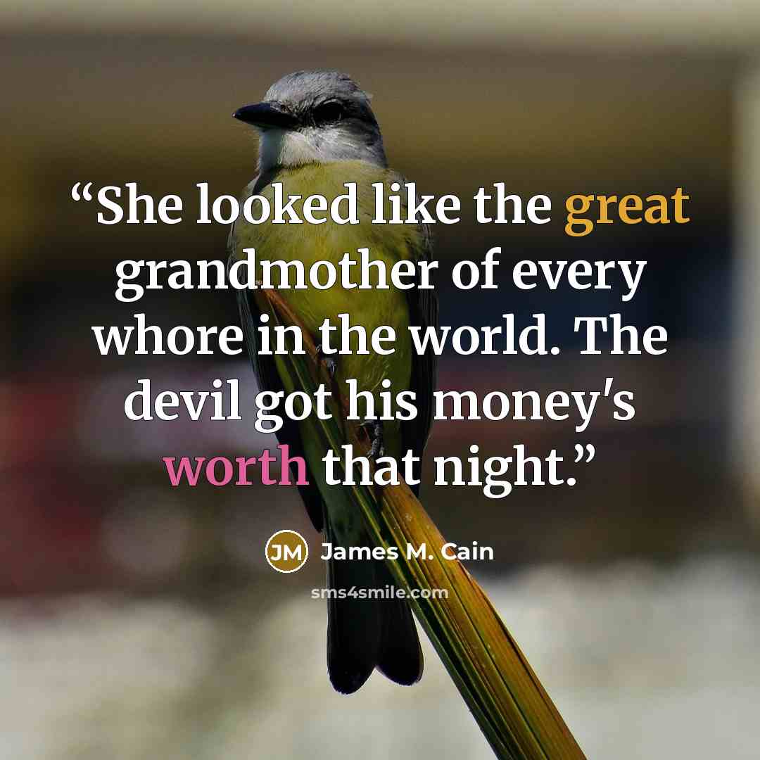 “She looked like the great grandmother of every whore in the world. The devil got his money's worth that night.” quote by James M. Cain