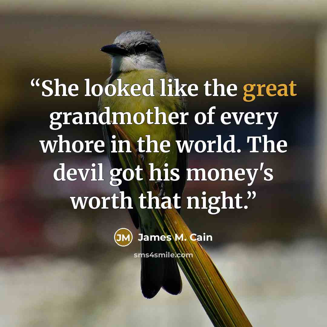 “She looked like the great grandmother of every whore in the world. The devil got his money's worth that night.” quote by James M. Cain