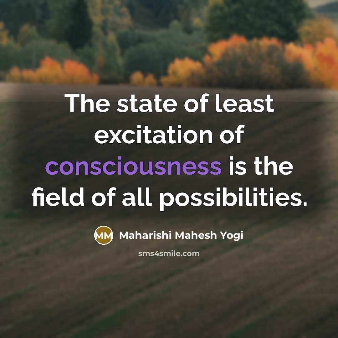 “The state of least excitation of consciousness is the field…” quote by Maharishi Mahesh Yogi