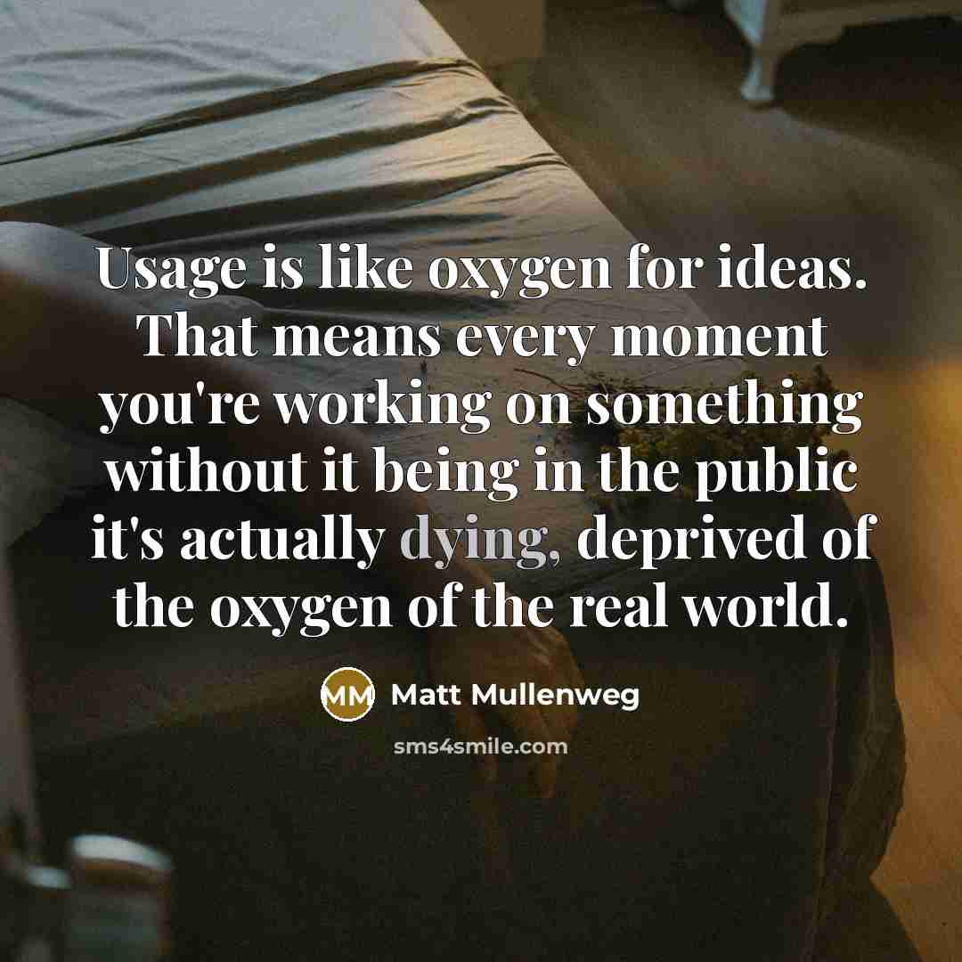 “Usage is like oxygen for ideas. That means every moment…” quote by Matt Mullenweg