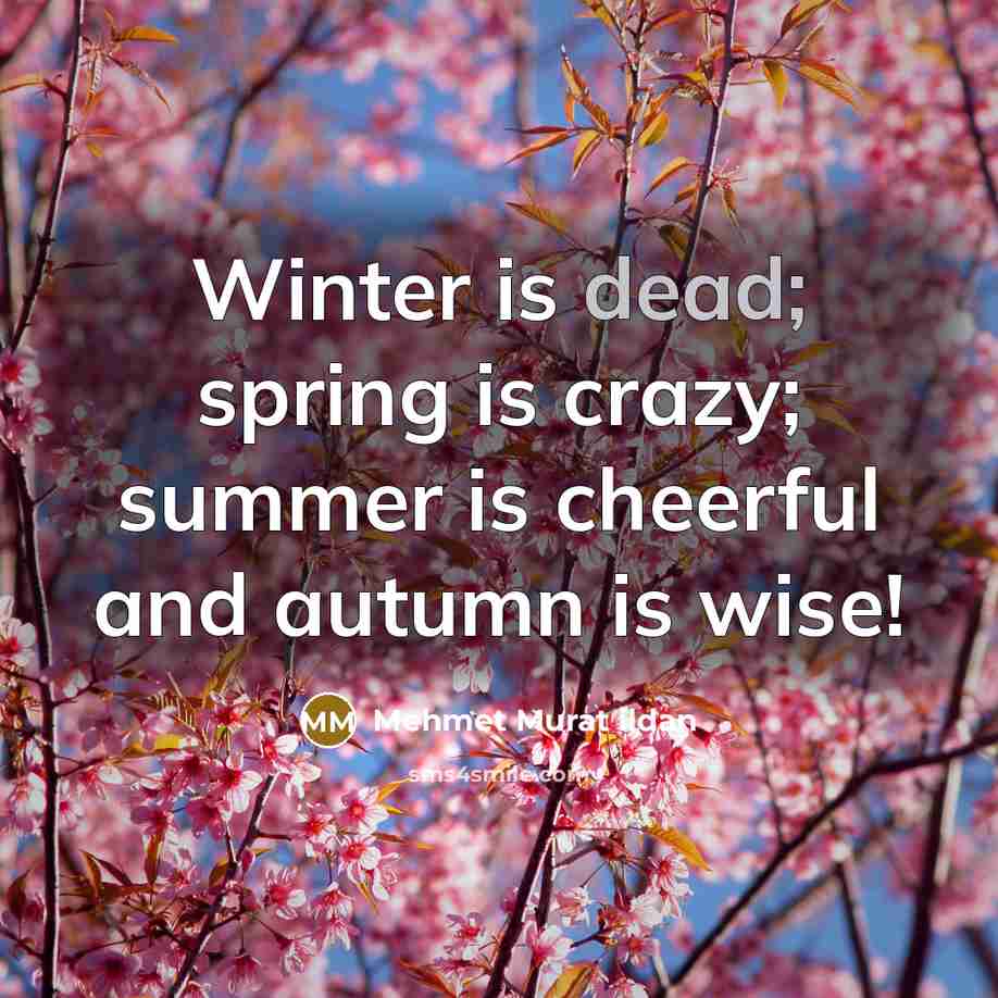 “Winter is dead; spring is crazy; summer is cheerful and…” quote by Mehmet Murat Ildan