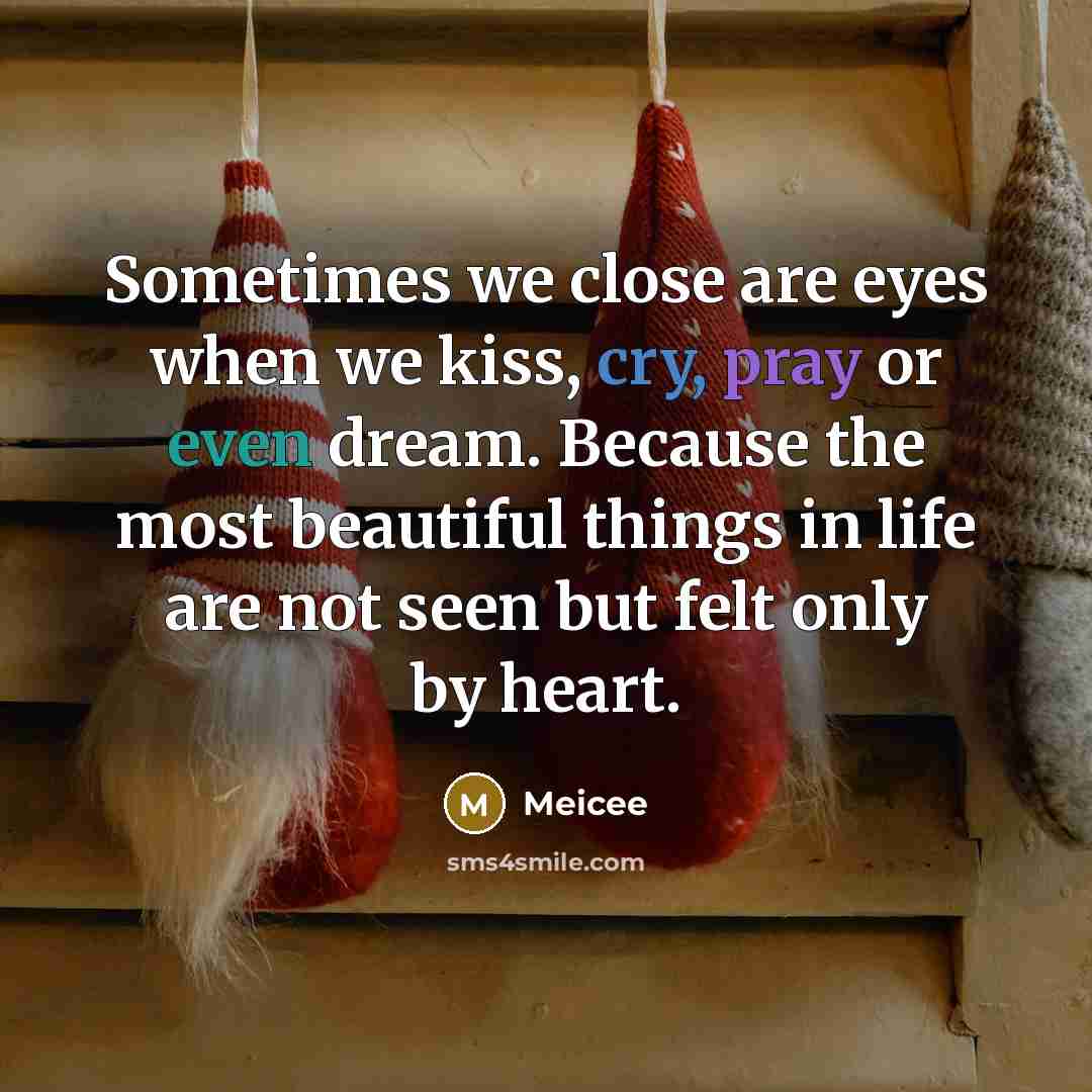 “Sometimes we close are eyes when we kiss, cry, pray…” quote by Meicee