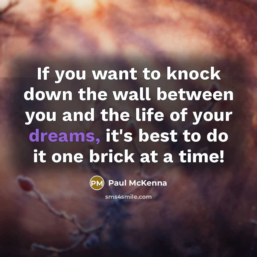 “If you want to knock down the wall between you and the life of your dreams, it's best to do it one brick at a time!” quote by Paul McKenna