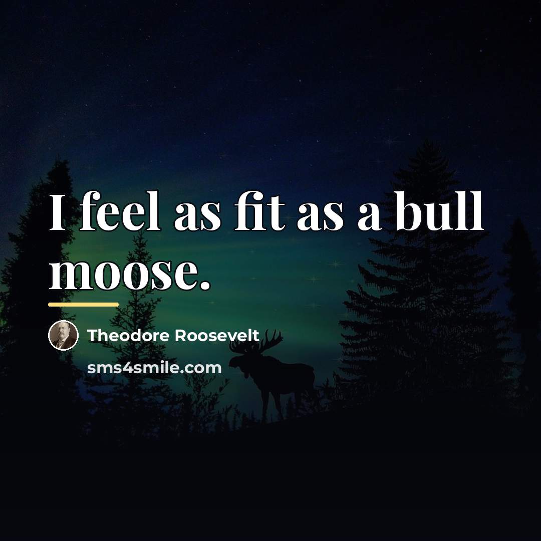 “I feel as fit as a bull moose.…” quote by Theodore Roosevelt