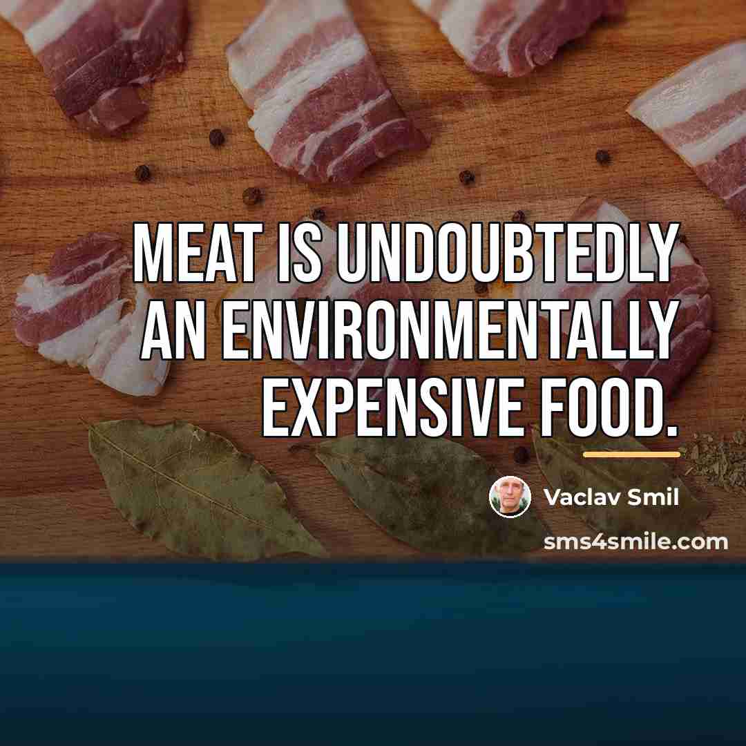 “Meat is undoubtedly an environmentally expensive food.…” quote by Vaclav Smil
