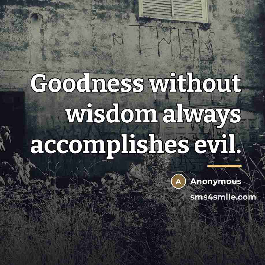“Goodness without wisdom always accomplishes evil.…” quote by Anonymous