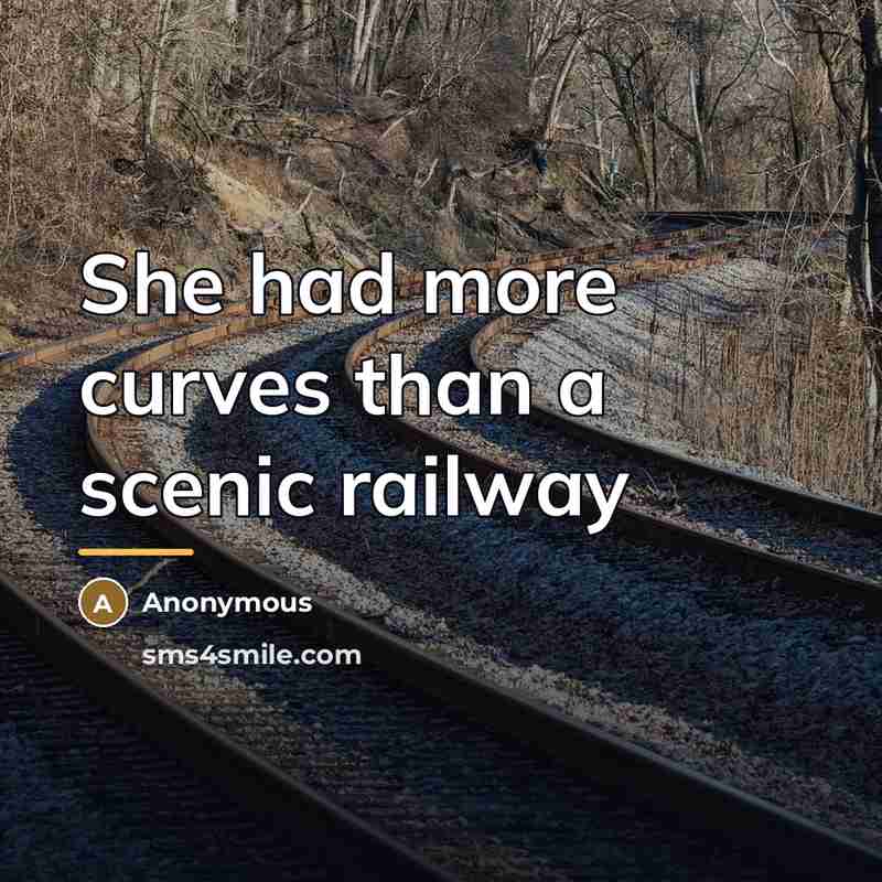 “She had more curves than a scenic railway…” quote by Anonymous