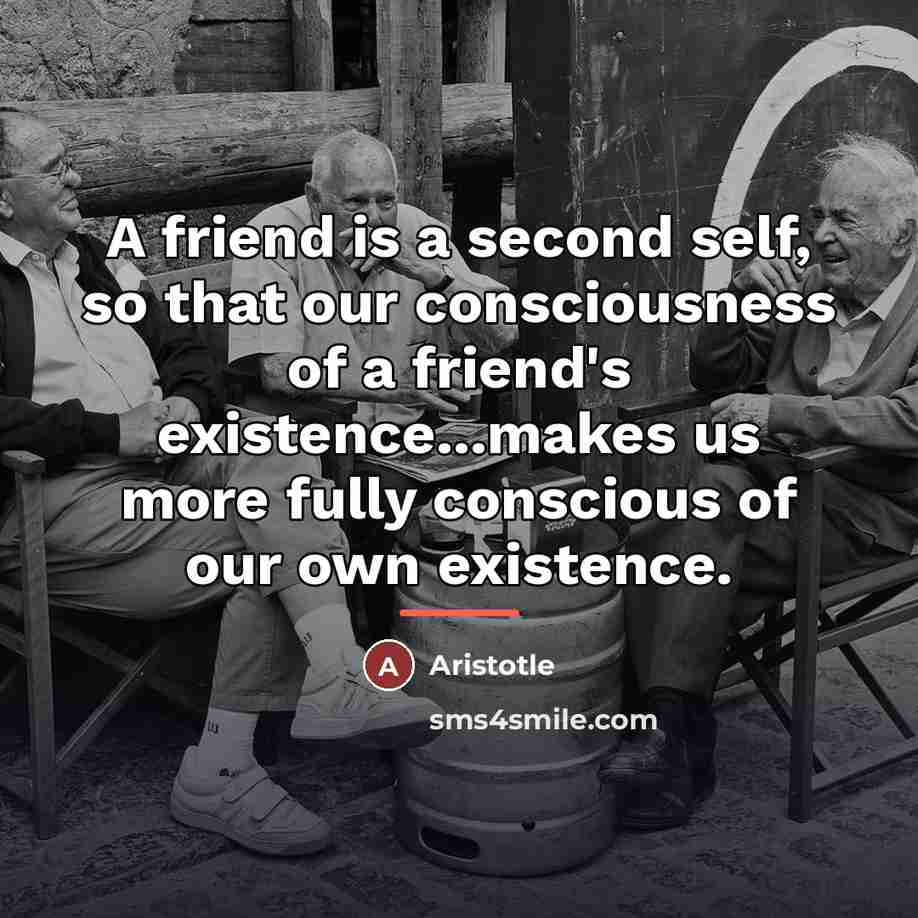 “A friend is a second self, so that our consciousness…” quote by Aristotle