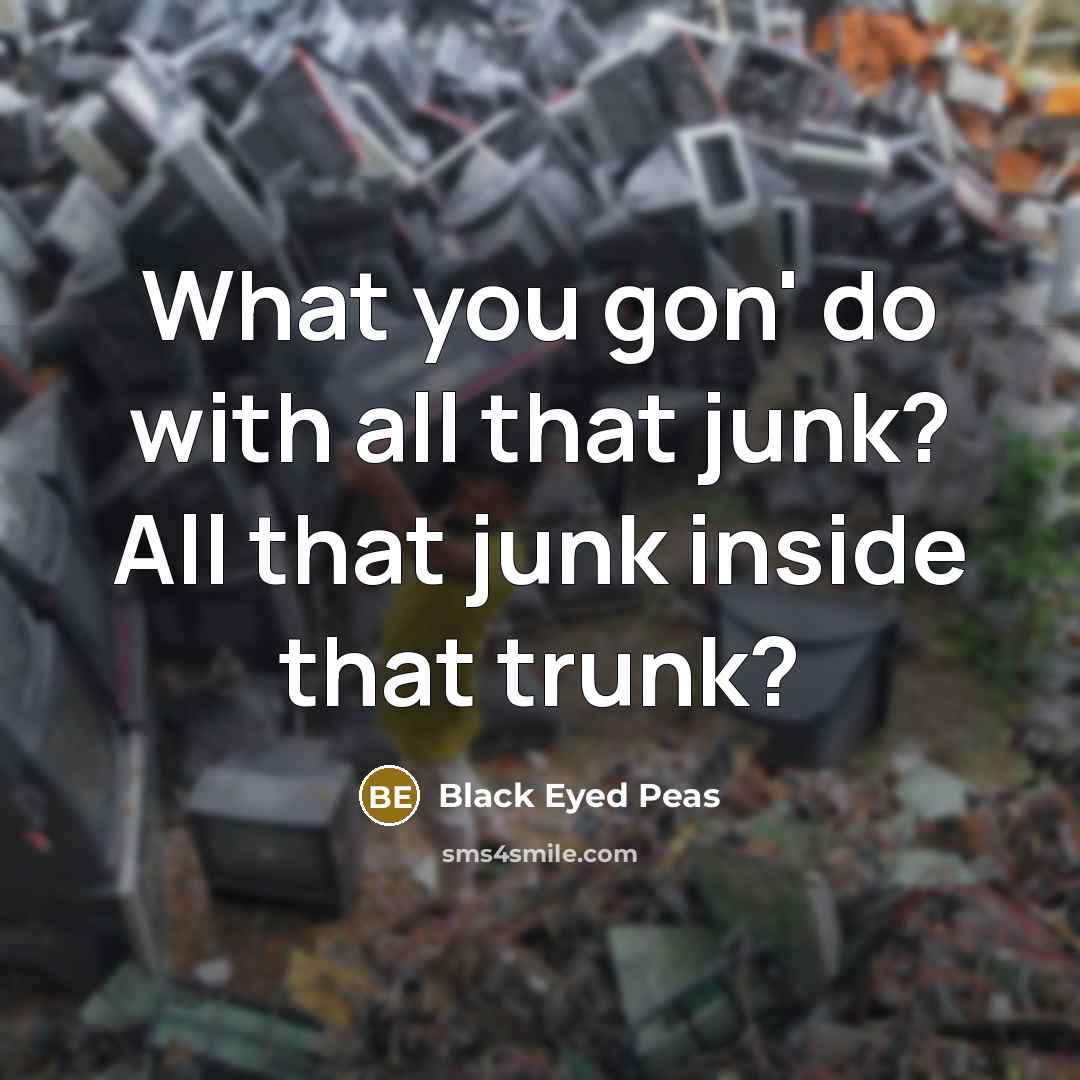 “What you gon' do with all that junk? All that…” quote by Black Eyed Peas