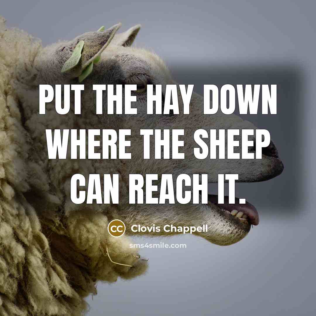 “Put the hay down where the sheep can reach it.…” quote by Clovis Chappell