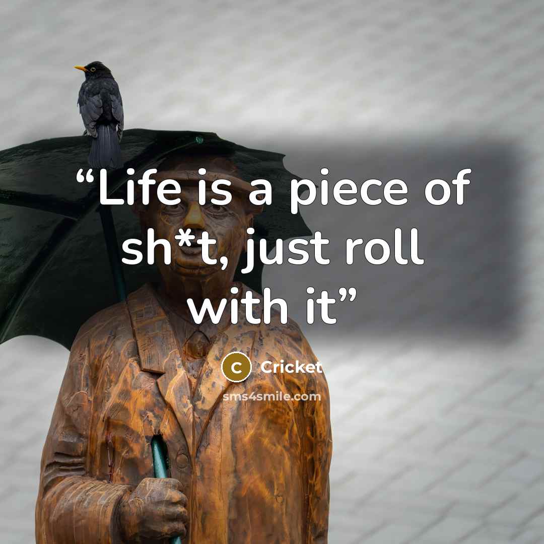 “Life is a piece of sh*t, just roll with it” quote by Cricket