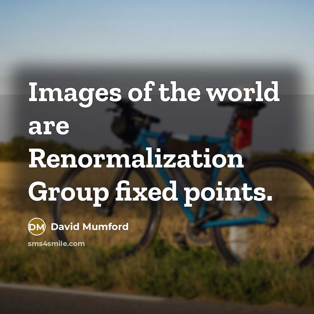 “Images of the world are Renormalization Group fixed points.…” quote by David Mumford