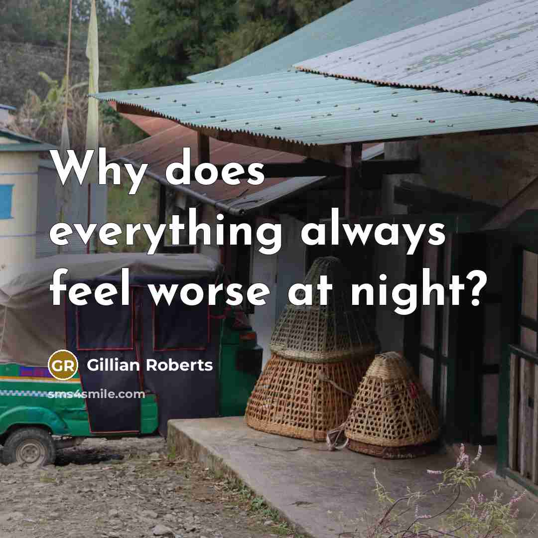“Why does everything always feel worse at night?…” quote by Gillian Roberts