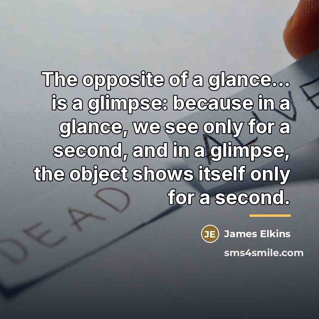 “The opposite of a glance... is a glimpse: because in…” quote by James Elkins