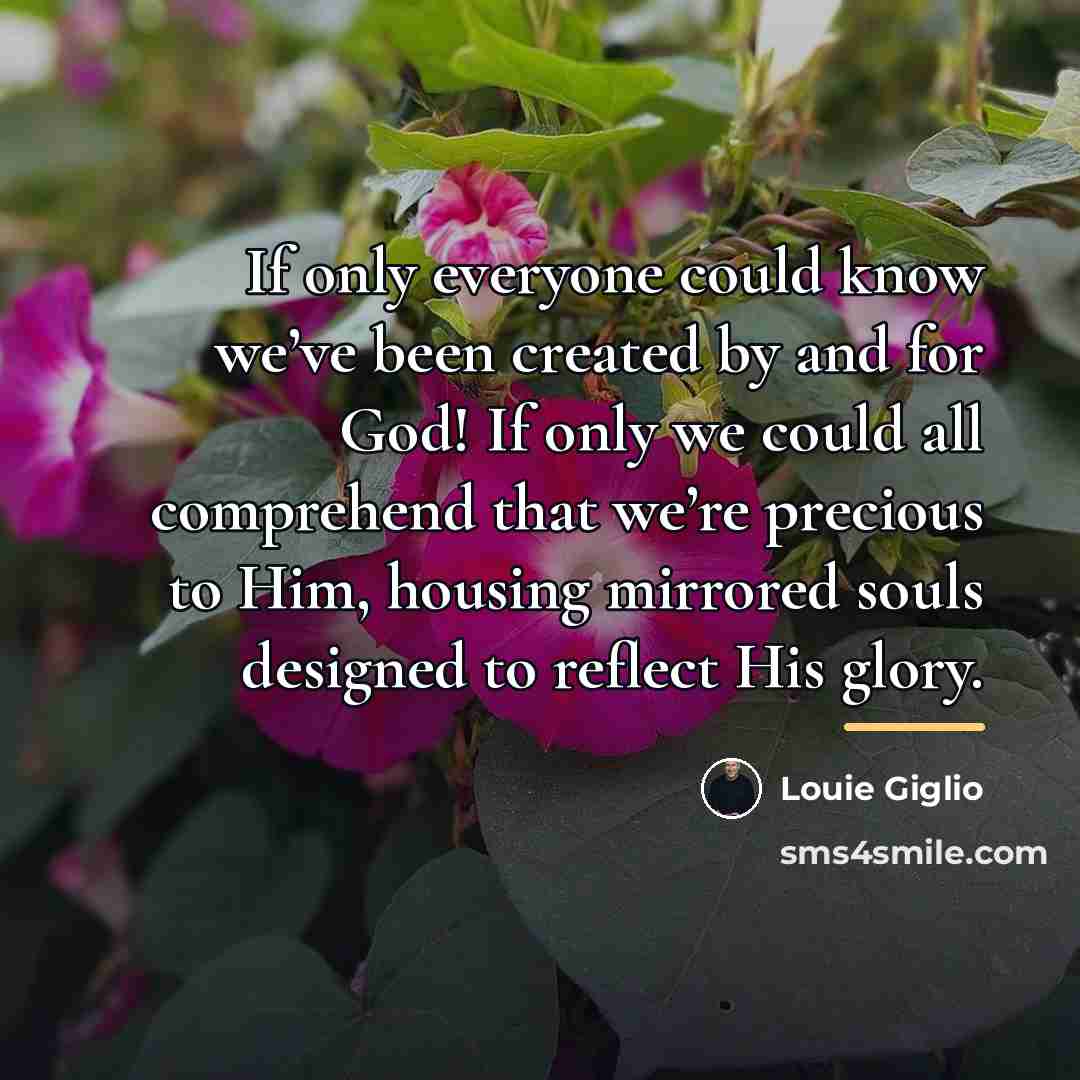 “If only everyone could know we’ve been created by and…” quote by Louie Giglio