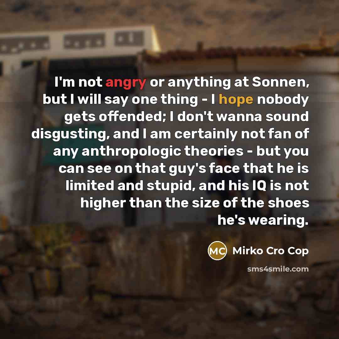 “I'm not angry or anything at Sonnen, but I will…” quote by Mirko Cro Cop