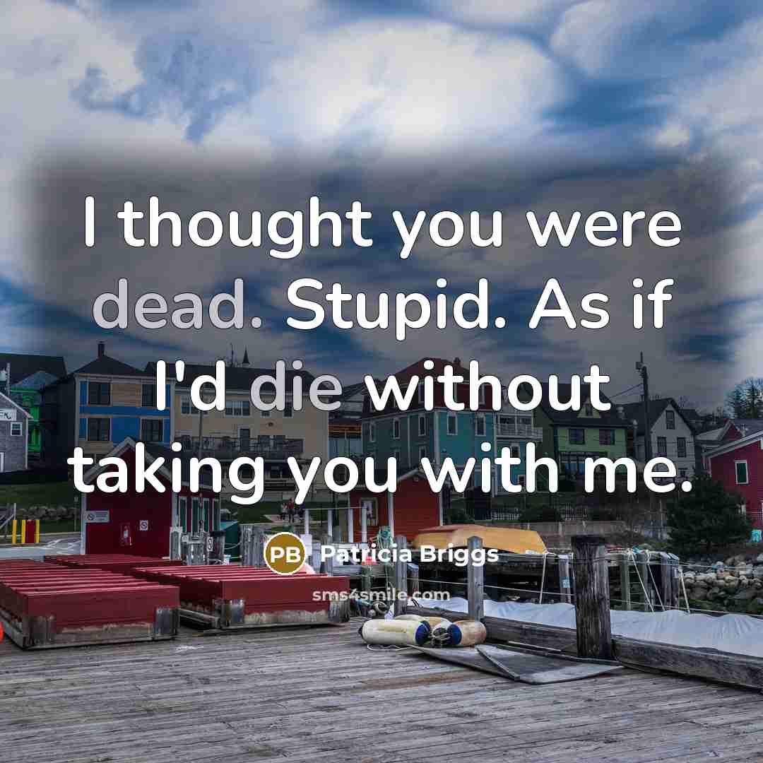 “I thought you were dead. Stupid. As if I'd die…” quote by Patricia Briggs
