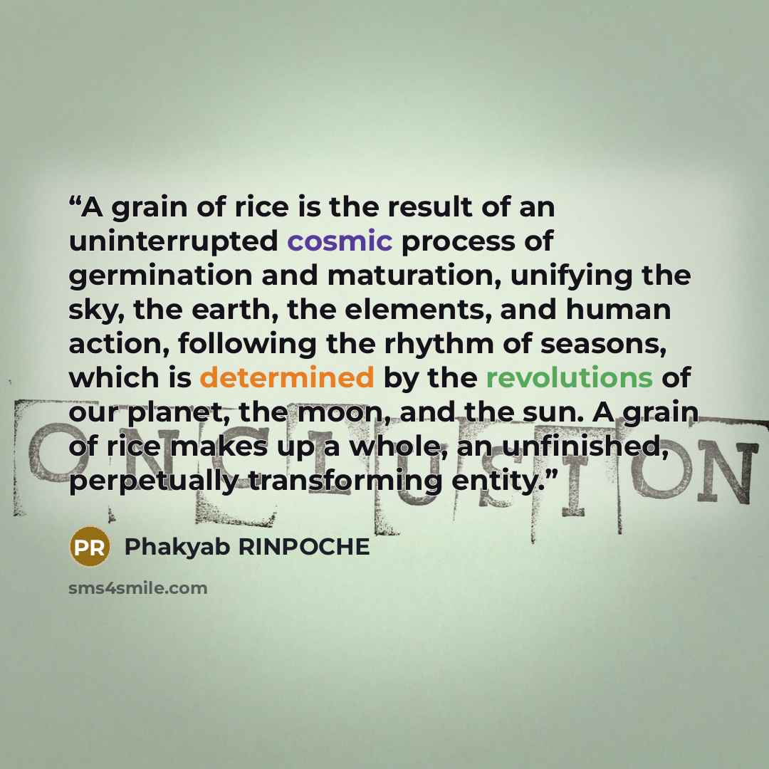 “A grain of rice is the result of an uninterrupted cosmic process of germination and maturation, unifying the sky, the earth, the elements, and human action, following the rhythm of seasons, which is determined by the revolutions of our planet, the moon, and the sun. A grain of rice makes up a…” quote by Phakyab RINPOCHE