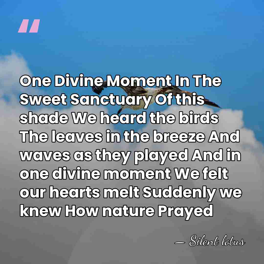 One Divine Moment In The Sweet Sanctuary Of this shade We heard&hellip; - Silent lotus