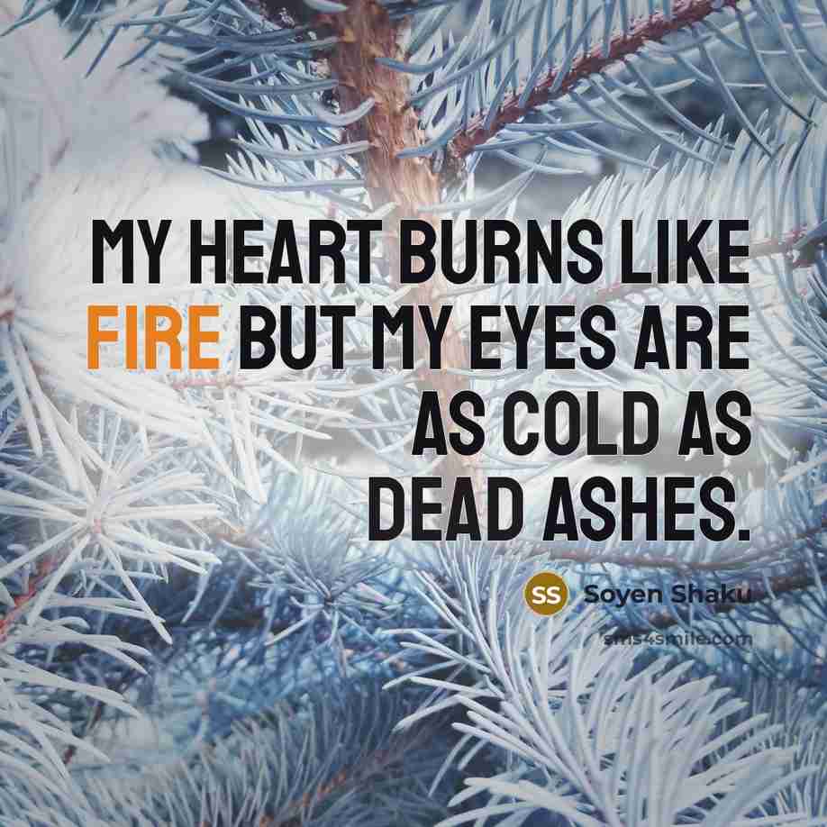 “My heart burns like fire but my eyes are as…” quote by Soyen Shaku