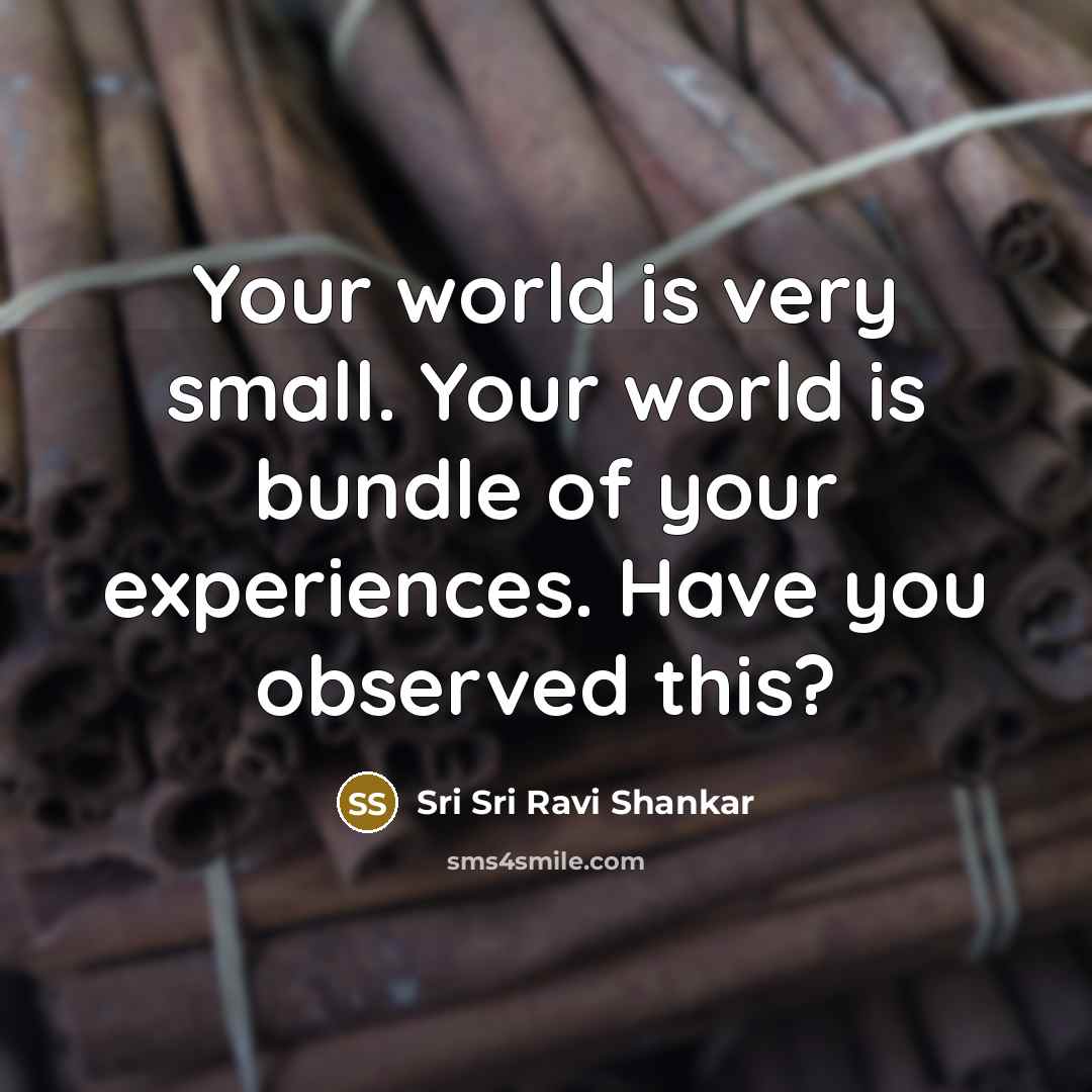 “Your world is very small. Your world is bundle of…” quote by Sri Sri Ravi Shankar