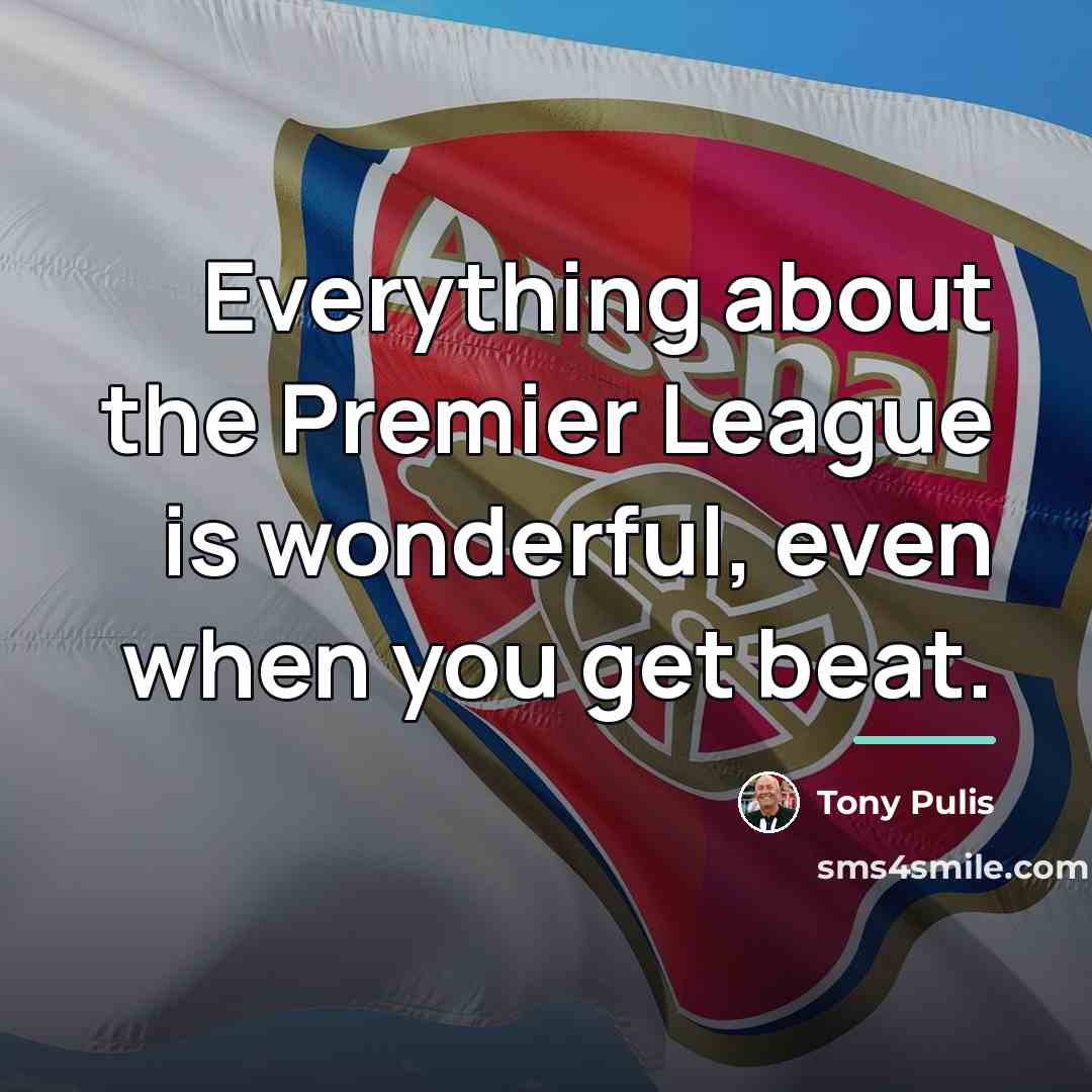 “Everything about the Premier League is wonderful, even when you…” quote by Tony Pulis