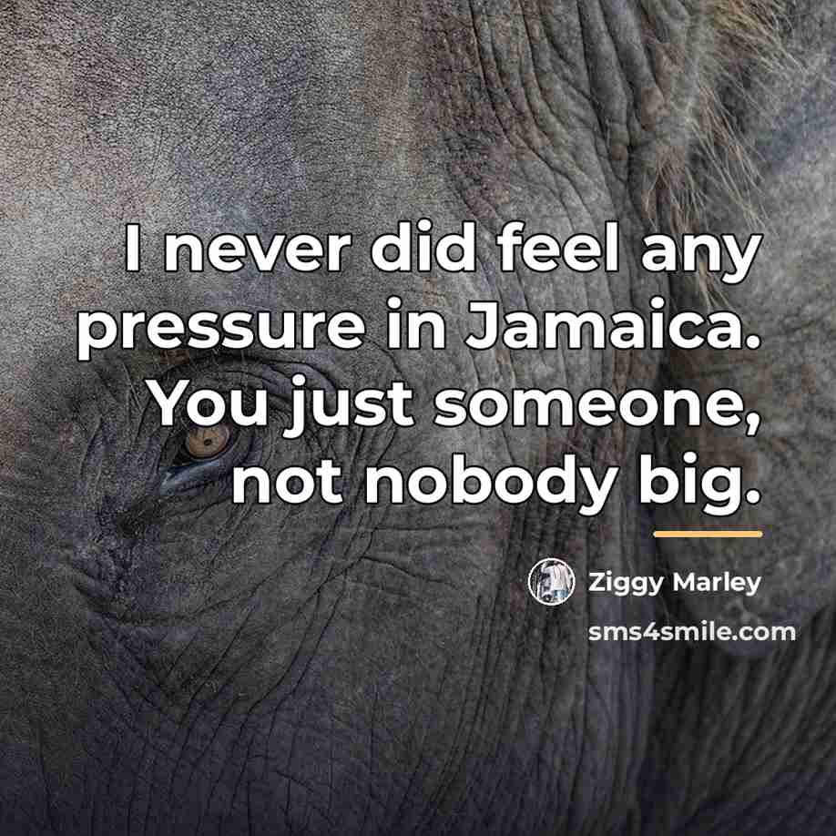 “I never did feel any pressure in Jamaica. You just…” quote by Ziggy Marley