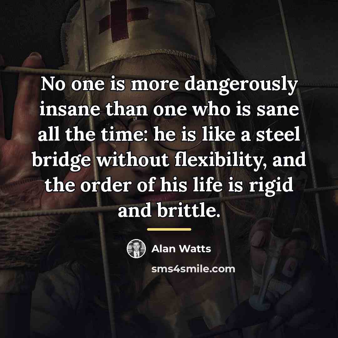 “No one is more dangerously insane than one who is…” quote by Alan Watts