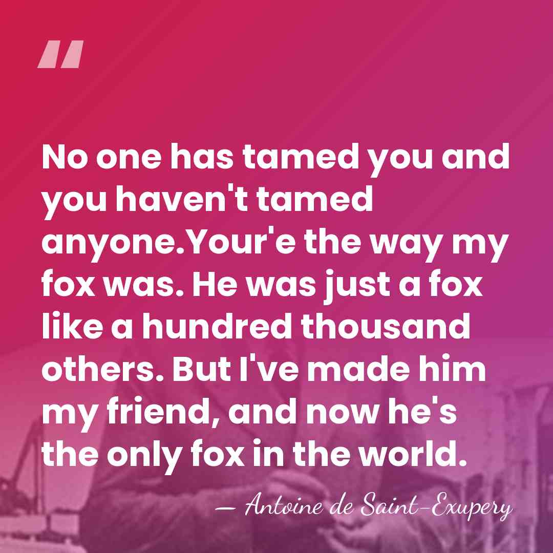 No one has tamed you and you haven't tamed anyone.Your'e the way&hellip; - Antoine De Saint-Exupéry