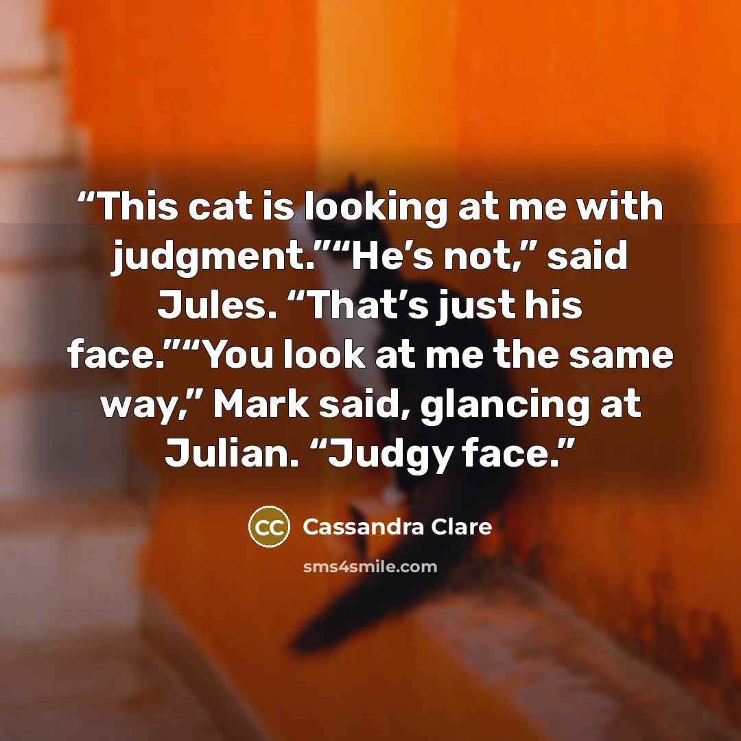 “This cat is looking at me with judgment.”“He’s not,” said Jules. “That’s just his face.”“You look at me the same way,” Mark said, glancing at Julian. “Judgy face.” quote by Cassandra Clare