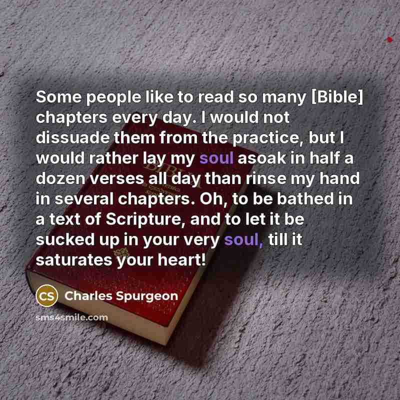 “Some people like to read so many [Bible] chapters every…” quote by Charles Spurgeon