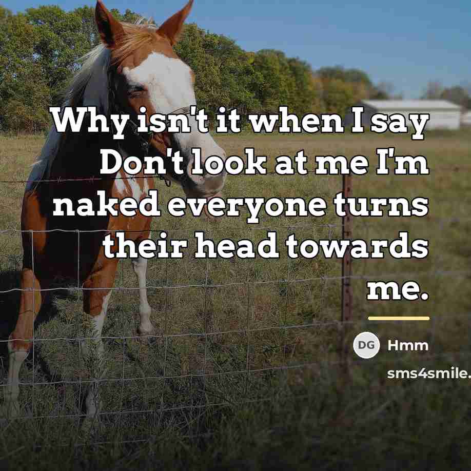 “Why isn't it when I say Don't look at me…” quote by Hmm