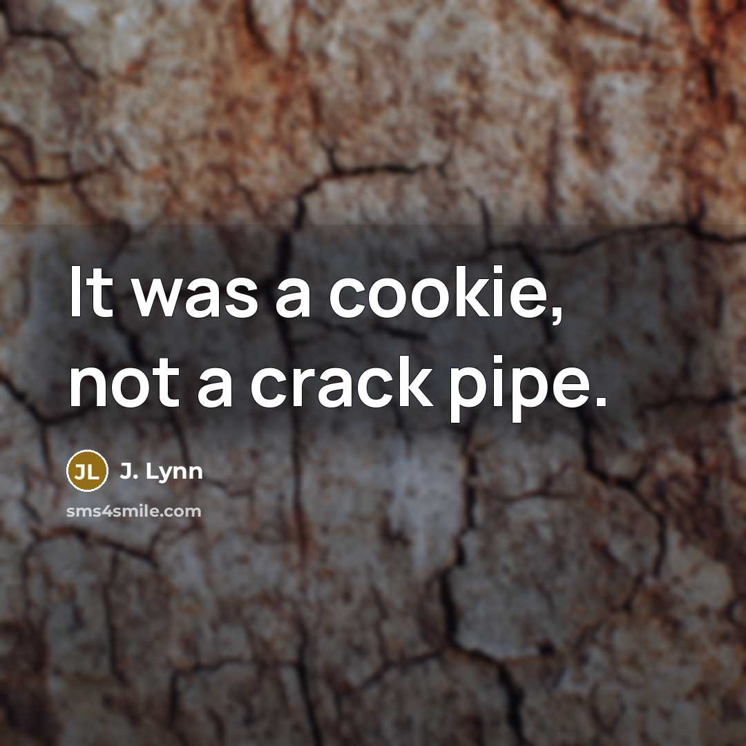“It was a cookie, not a crack pipe.…” quote by J. Lynn