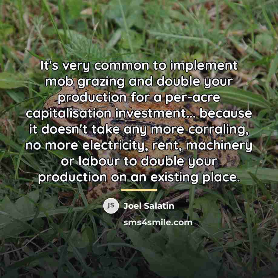 “It's very common to implement mob grazing and double your…” quote by Joel Salatin