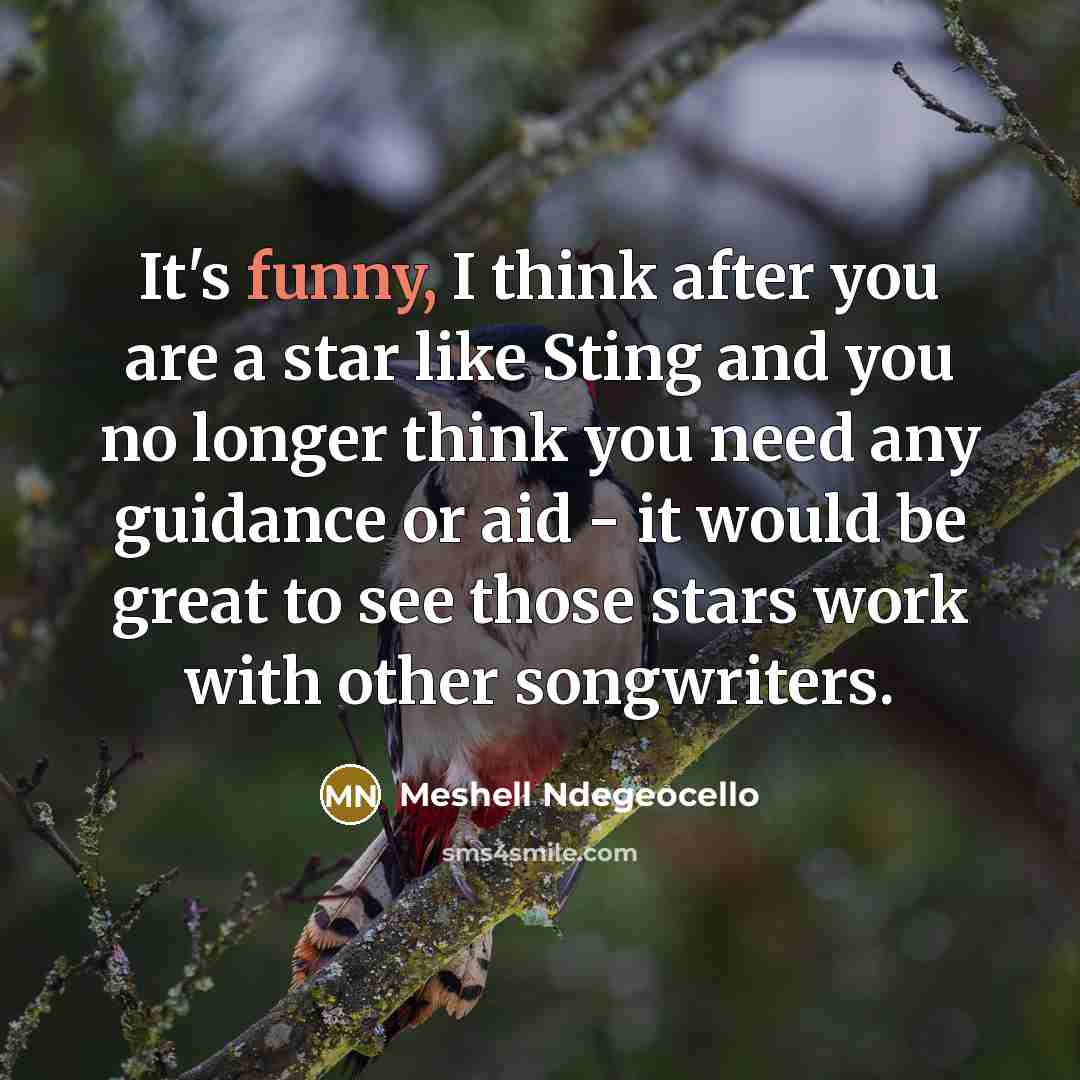 “It's funny, I think after you are a star like…” quote by Meshell Ndegeocello