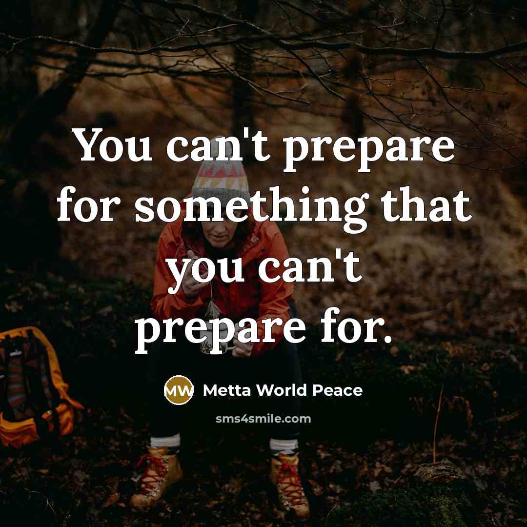 “You can't prepare for something that you can't prepare for.…” quote by Metta World Peace