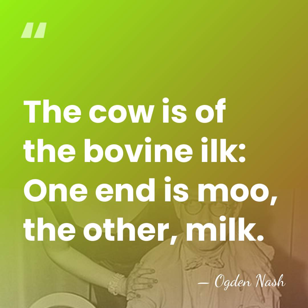The cow is of the bovine ilk: One end is moo, the&hellip; - Ogden Nash