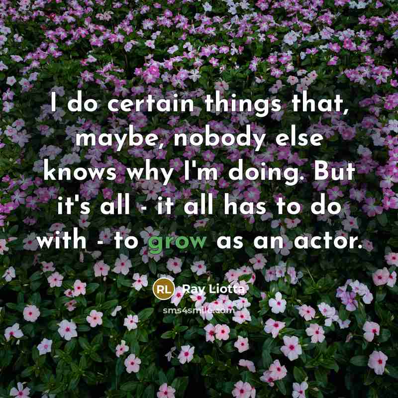 “I do certain things that, maybe, nobody else knows why…” quote by Ray Liotta