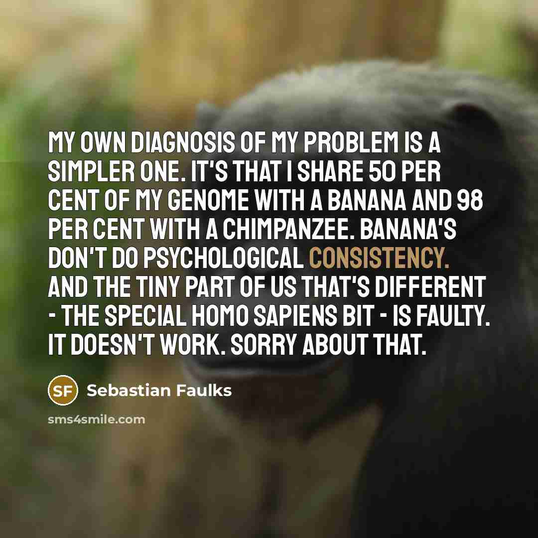 “My own diagnosis of my problem is a simpler one.…” quote by Sebastian Faulks