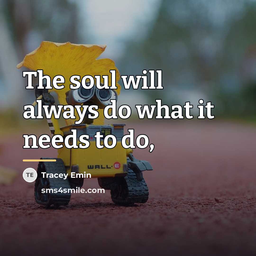 “The soul will always do what it needs to do,…” quote by Tracey Emin