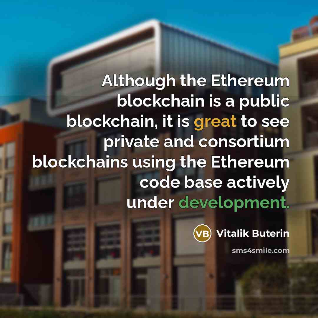 “Although the Ethereum blockchain is a public blockchain, it is…” quote by Vitalik Buterin