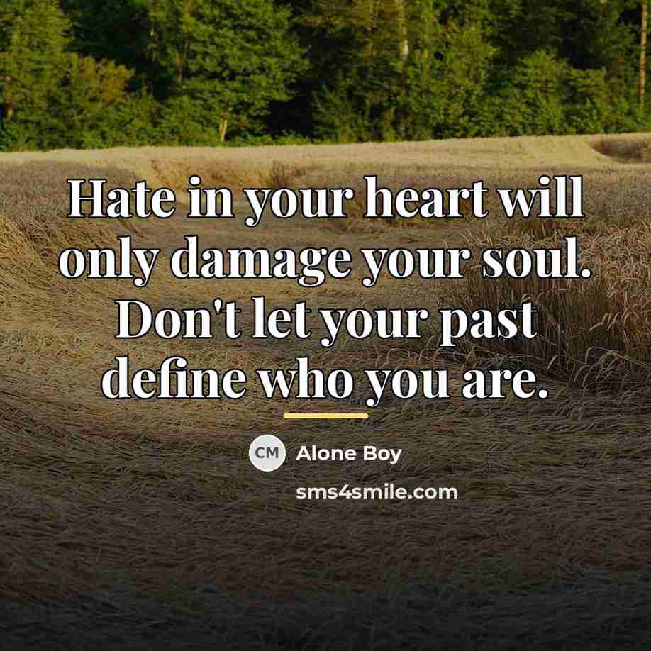 “Hate in your heart will only damage your soul. Don't…” quote by Alone Boy