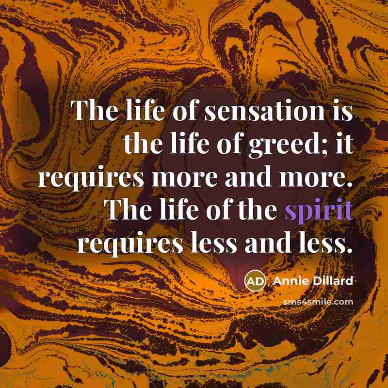 “The life of sensation is the life of greed; it…” quote by Annie Dillard
