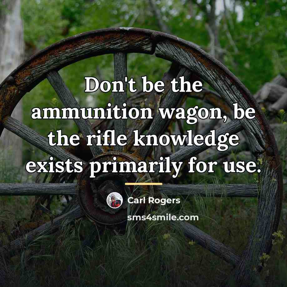 “Don't be the ammunition wagon, be the rifle knowledge exists…” quote by Carl Rogers