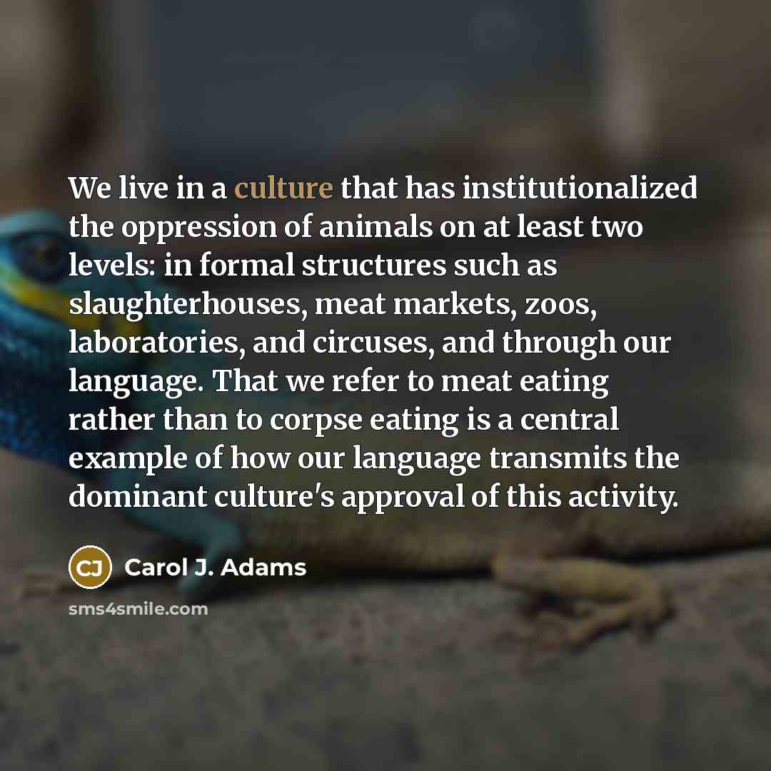 “We live in a culture that has institutionalized the oppression…” quote by Carol J. Adams