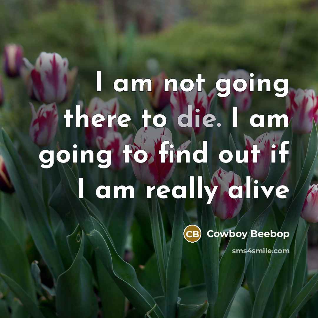 “I am not going there to die. I am going to find out if I am really alive” quote by Cowboy Beebop
