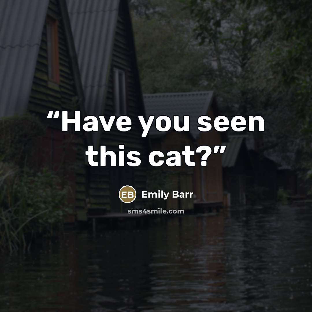 “Have you seen this cat?” quote by Emily Barr