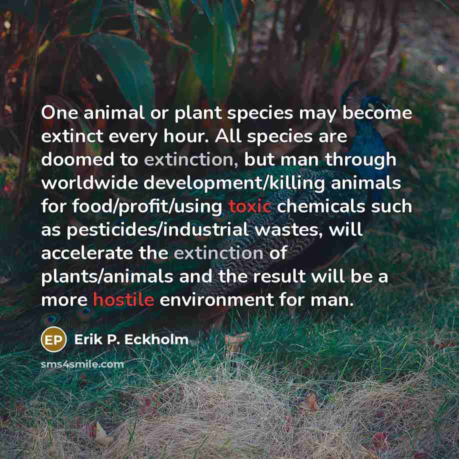 “One animal or plant species may become extinct every hour. All species are doomed to extinction, but man through worldwide development/killing animals for food/profit/using toxic chemicals such as pesticides/industrial wastes, will accelerate the extinction of plants/animals and the result will be…” quote by Erik P. Eckholm