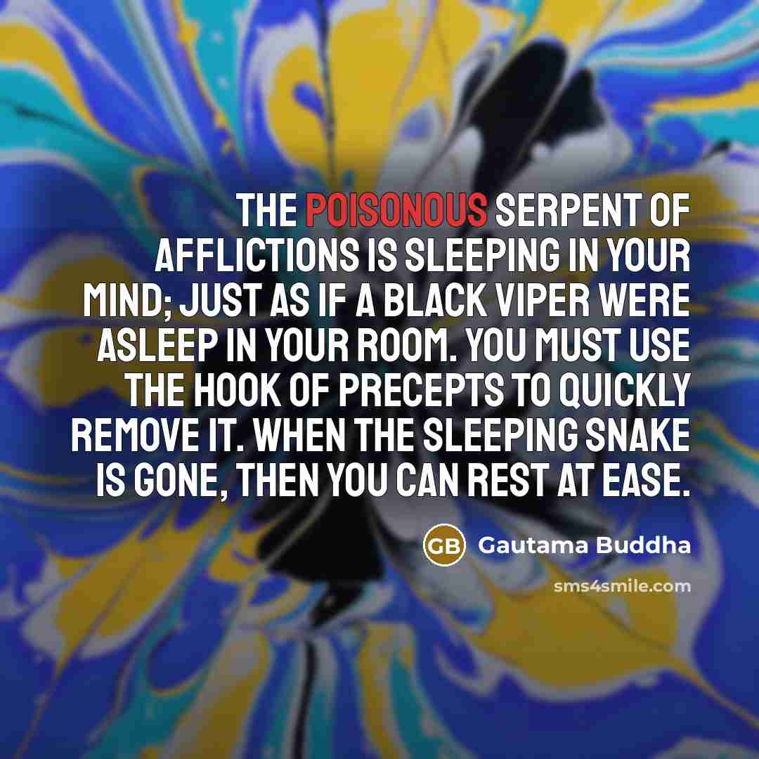 “The poisonous serpent of afflictions is sleeping in your mind;…” quote by Gautama Buddha