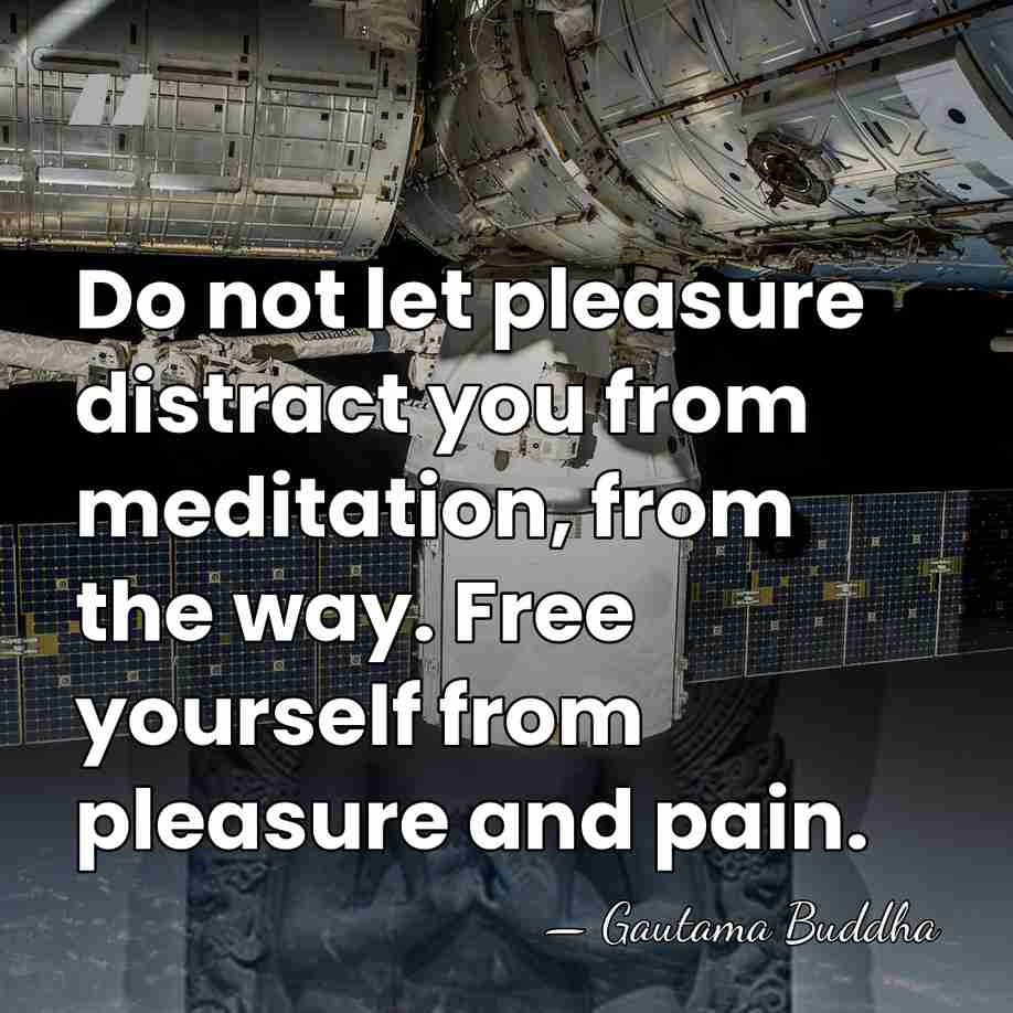 Do not let pleasure distract you from meditation, from the way. Free&hellip; - Gautama Buddha